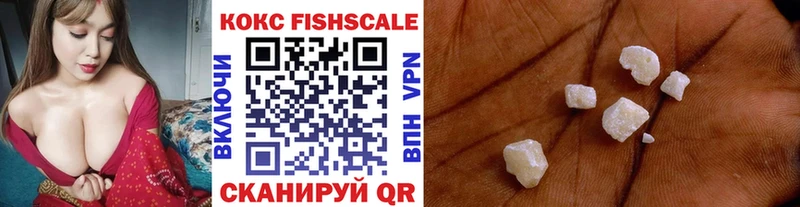 Купить Серафимович Кокаин Fish Scale