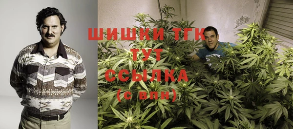 ГАЛЛЮЦИНОГЕННЫЕ ГРИБЫ Баксан