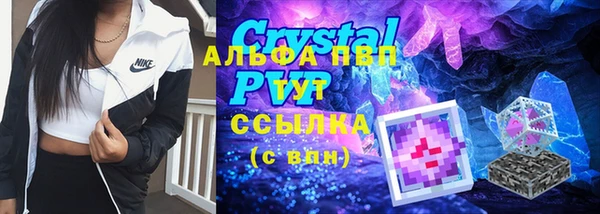 apvp Богданович