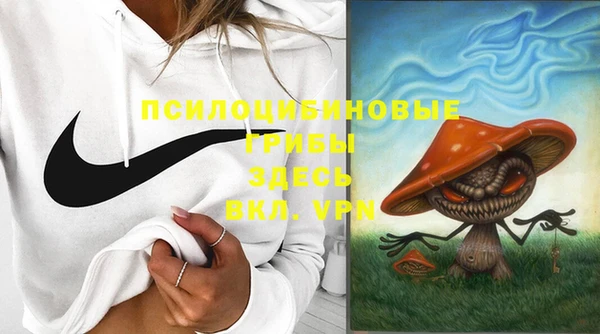 дурь Богородск